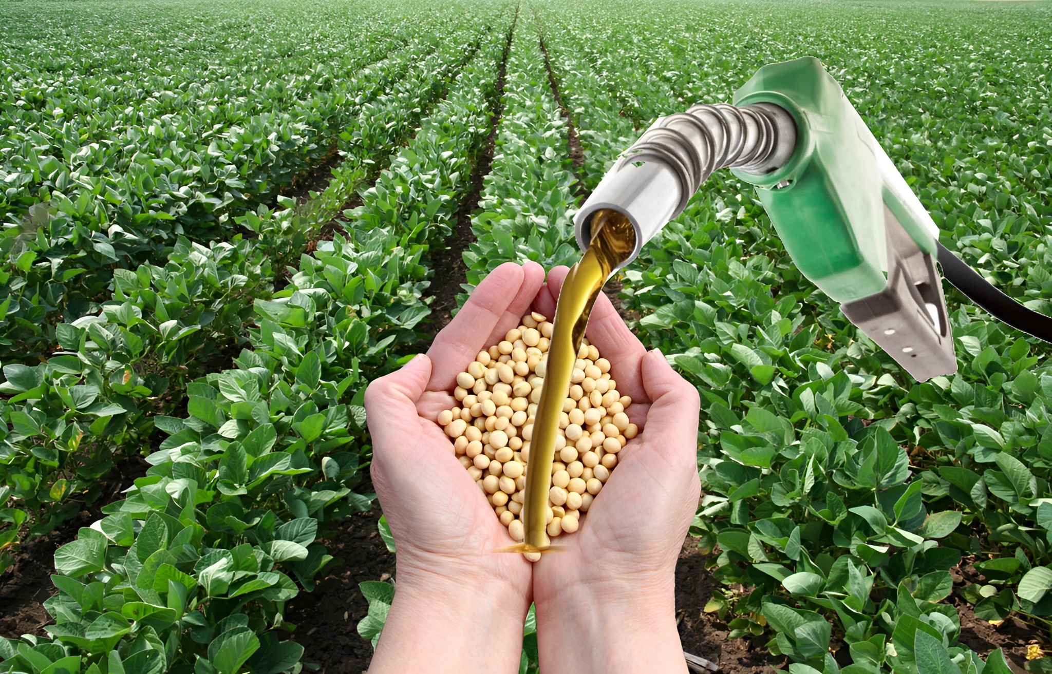 Brasil vai produzir e usar mais biodiesel