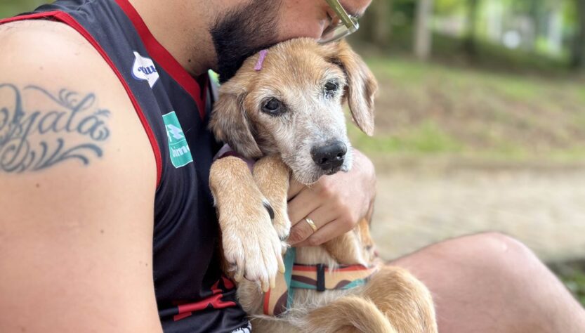 Como as doenças neurodegenerativas afetam os animais?