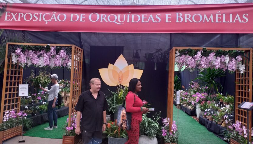 Fim de semana paulista tem exposição e palestras gratuitas sobre orquídeas