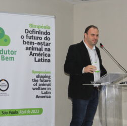 Startup brasileira lança certificação em bem-estar de frangos na América