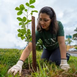 Nova Acrópole promove no Dia da Terra reflexões sobre a biodiversidade humana