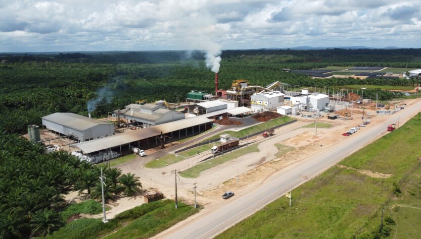 Grupo BBF completa 15 anos com foco em sustentabilidade