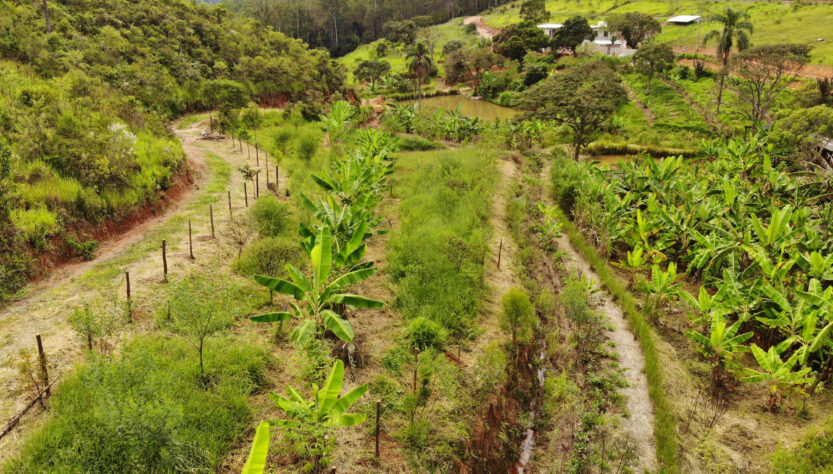 Agricultura regenerativa é opção para produção sustentável