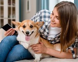 App pet oferece funcionalidades gratuitas para causa animal