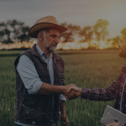 Serviços Financeiros e Digitais da Randon estão na Agrishow