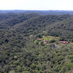 Juquitiba adere à Grande Reserva Mata Atlântica