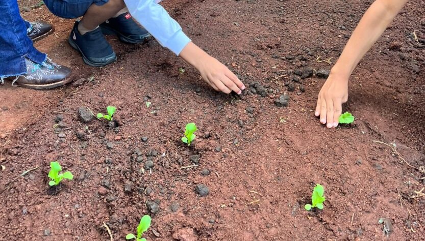 Projeto aproveita resíduos de origem animal para produzir alimentos saudáveis