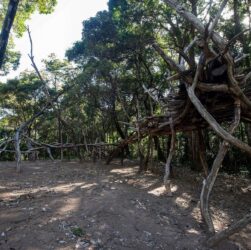 Exposição Cosmogonia Inventada traz obras do artista Rafael Mattos em Altamira