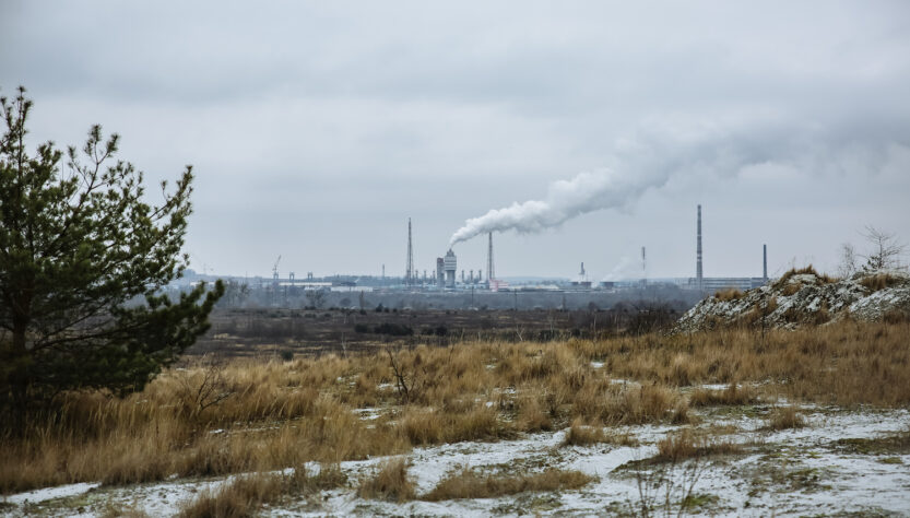 Dia da Sobrecarga da Terra destaca preservação do planeta