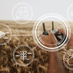 Pesquisa da SAE BRASIL e KPMG aponta caminhos para tecnologia no agro brasileiro