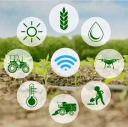 Expansão da IoT no Brasil inclui atividades agrárias