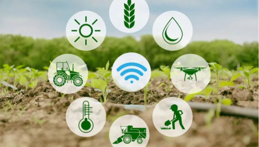 Expansão da IoT no Brasil inclui atividades agrárias