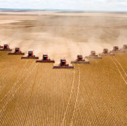 Gigantes do agro têm recuperações judiciais deferidas em MT