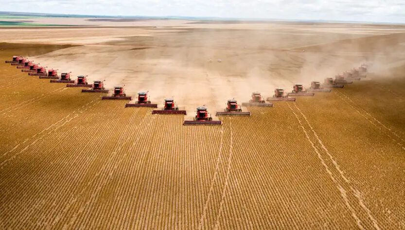 Gigantes do agro têm recuperações judiciais deferidas em MT