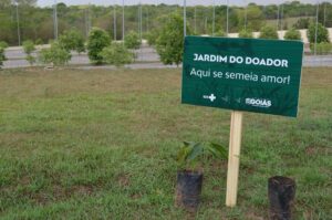 HCN - Hospital Estadual do Centro-norte Goiano | Doação de órgãos | jardim do Doador