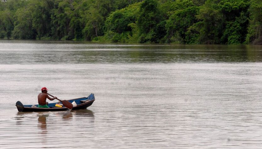 Ministério da Justiça e Segurança Pública, Ricardo Capelli | Amazônia legal