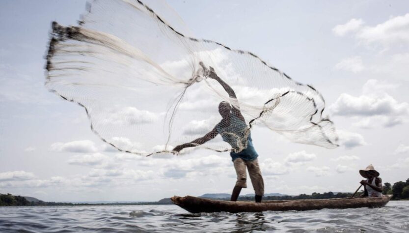 Grupo Mazzaferro cria ações voltadas para a sustentabilidade