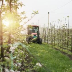 Oportunidades de investimentos se multiplicam no agronegócio