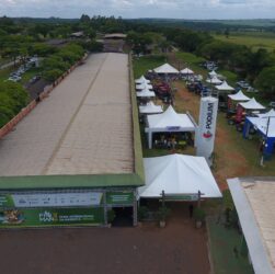 Paraná sediará terceira edição da Feira Internacional da Mandioca (Fiman)