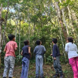 Projeto oferece “banho de floresta” para crianças e jovens em Juquitiba