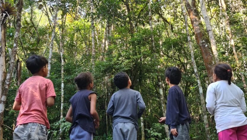 Projeto oferece “banho de floresta” para crianças e jovens em Juquitiba