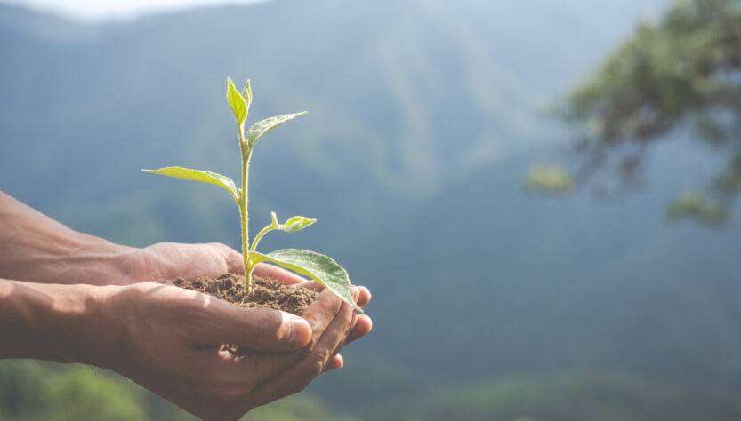 Mercado e consumidores levam empresas a adotar ações de ESG