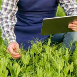 Pesquisa aponta aumento da digitalização do agronegócio