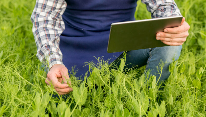 Pesquisa aponta aumento da digitalização do agronegócio