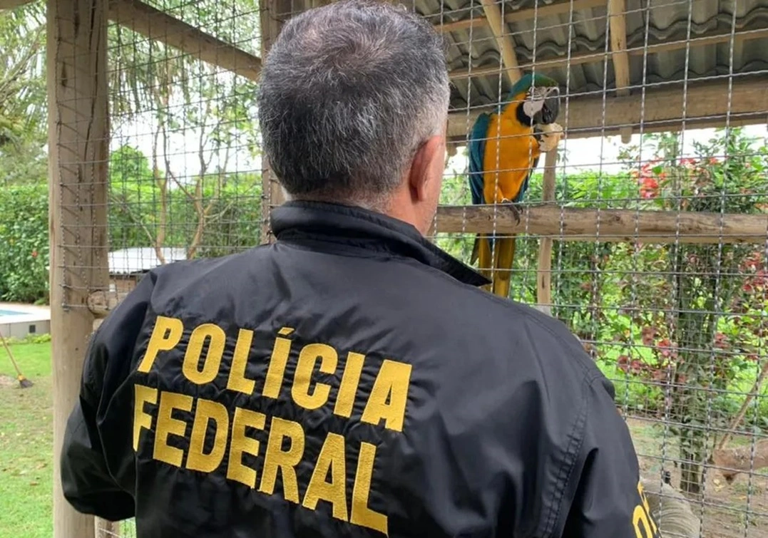 Fauna News | Tráfico de animais