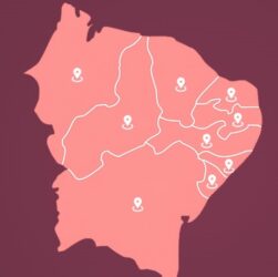 Cajueira lança banco de fontes do Nordeste