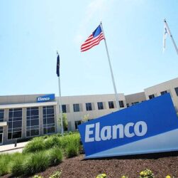 Elanco Saúde Animal cresce 5% no terceiro trimestre