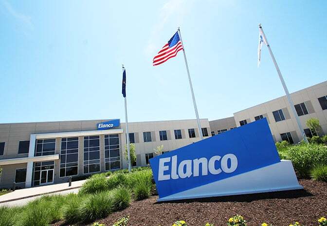 Elanco Saúde Animal cresce 5% no terceiro trimestre