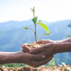 Sucessão é desafio para empresas agrícolas familiares