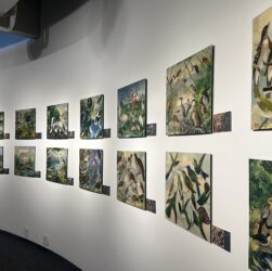 Exposição 'O Legado Suíço Brasileiro na Amazônia' estará no Museu Catavento em SP