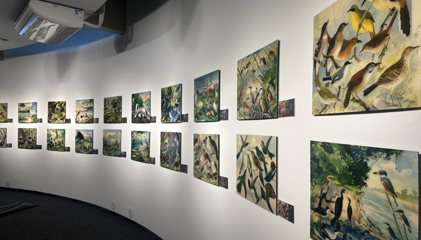 Exposição 'O Legado Suíço Brasileiro na Amazônia' estará no Museu Catavento em SP