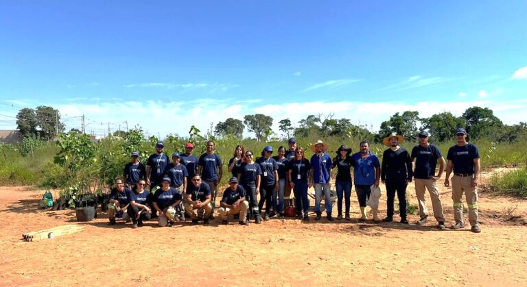 Greenplac - Flora MS