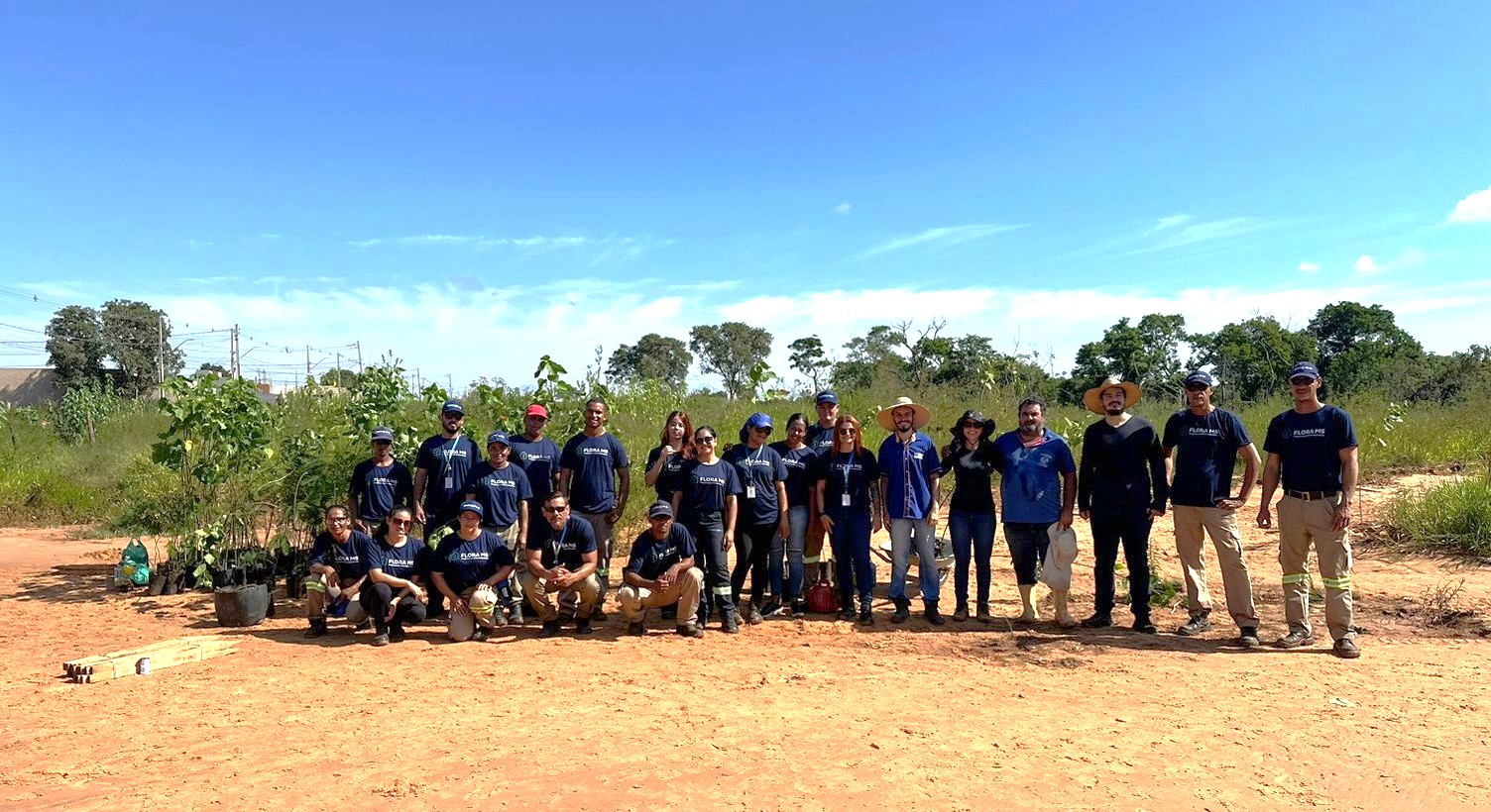 Greenplac - Flora MS