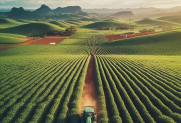 Políticas Agrícolas | Brasil
