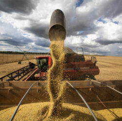 Falta de clareza na lei antidesmatamento europeia preocupa agroexportadores