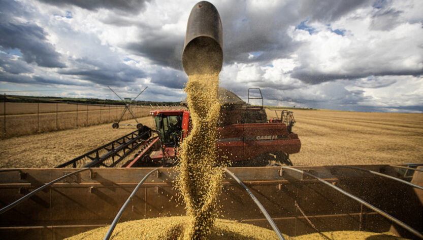 Falta de clareza na lei antidesmatamento europeia preocupa agroexportadores