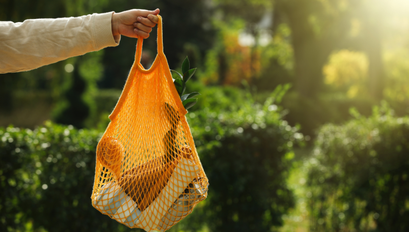 Estudo revela tendências de consumo sustentável