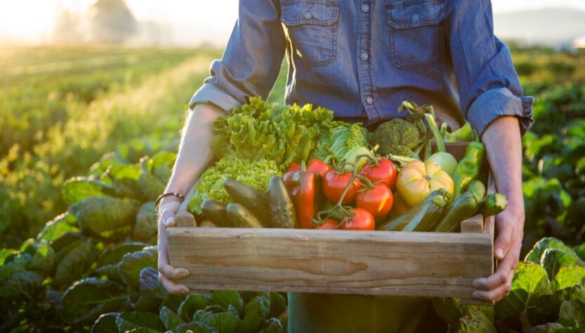 Dia do agricultor é um reconhecimento aos que produzem alimentos para o mundo