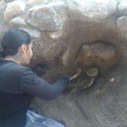 Historiadora explica o uso de radiocarbono na Arqueologia