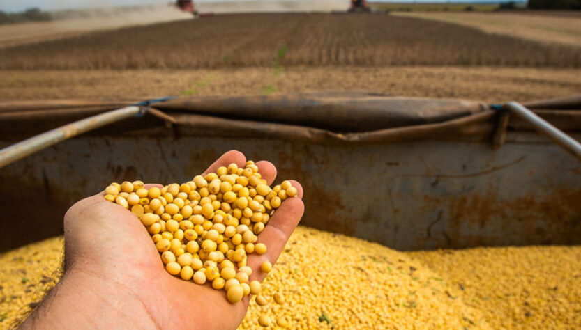 Recuperação judicial no agro segue em alta