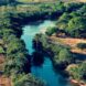 Dia do Cerrado é comemorado em 11 de setembro