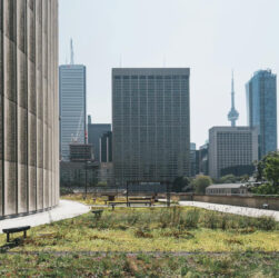 Seminário FACPCS debaterá sustentabilidade e seus reflexos nas demonstrações