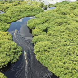 Belterra, na Amazônia, quer ser a "Machu Picchu brasileira"