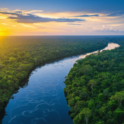 Amazônia é foco de conferência internacional em novembro