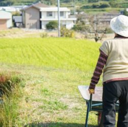 Selo Biocombustível Social impulsiona mulheres rurais