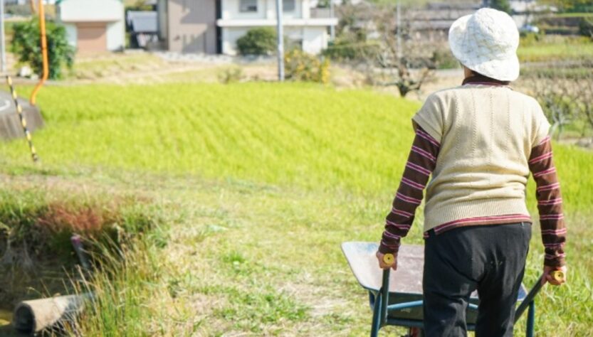 Selo Biocombustível Social impulsiona mulheres rurais